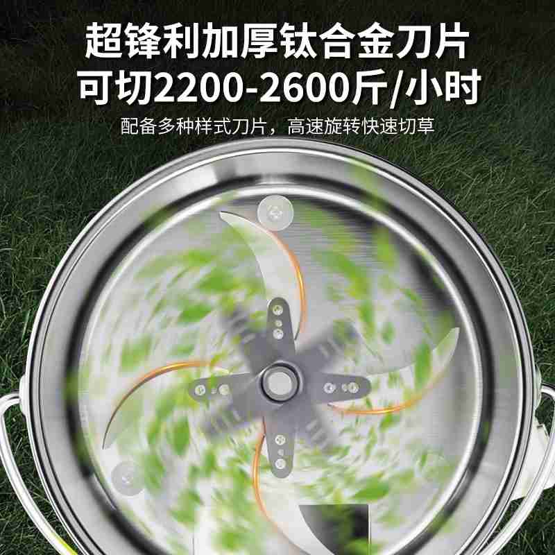 灰白相间的苍鹭幼鸟在成鸟的羽翼下休憩,而在芦苇丛下,一群鱼儿正欢快地游来游去。